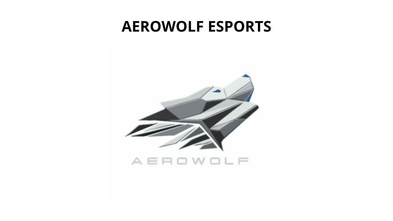 tim esports di Indonesia Aerowolf