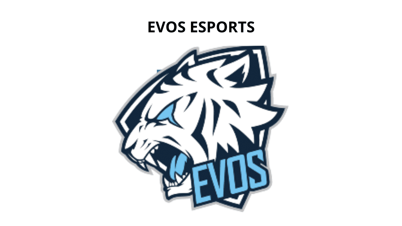 tim esport terbesar di Indonesia EVOS Esports