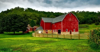 penginapan farmhouse untuk keluarga terbaik