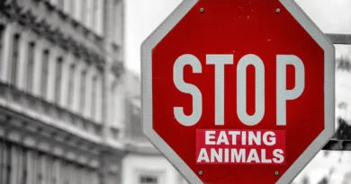 Inilah perbedaan vegan dan vegetarian yang harus Anda tahu