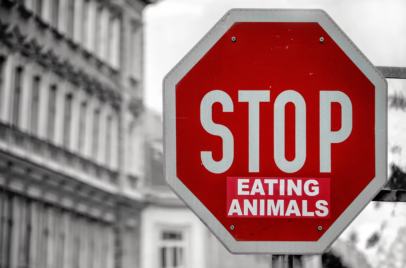 Inilah perbedaan vegan dan vegetarian yang harus Anda tahu