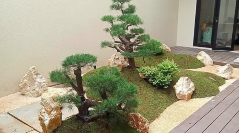 apa itu vertical garden dan manfaatnya