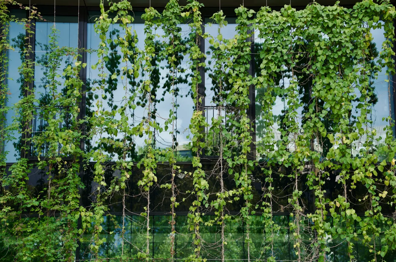 apa itu manfaat vertical garden