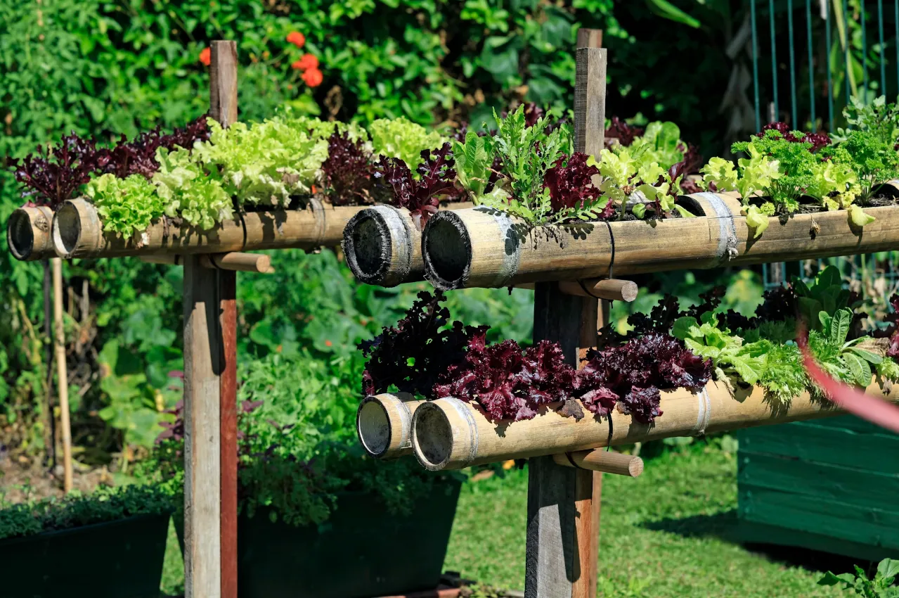 vertical garden dan investigasi jangka panjang