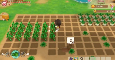 Story of Seasons baru sedang dikembangkan