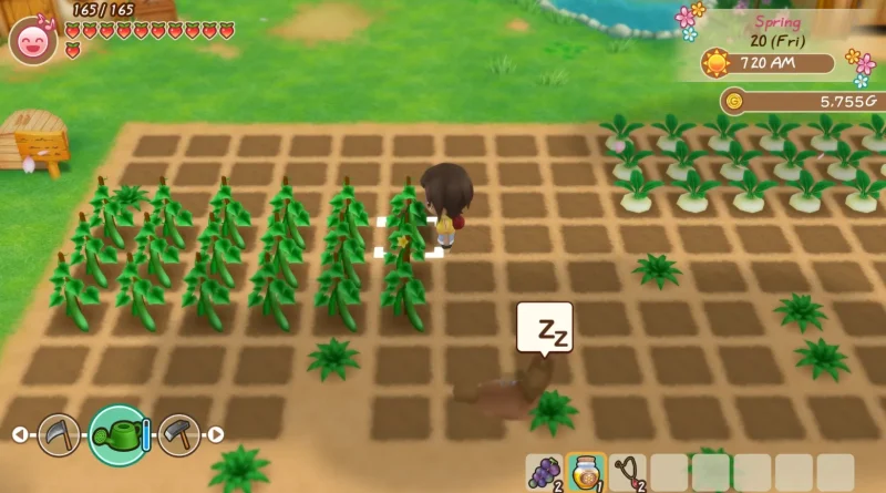 Story of Seasons baru sedang dikembangkan